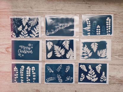 Picture of Different Cyanotype Postcards