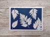 Picture of Different Cyanotype Postcards
